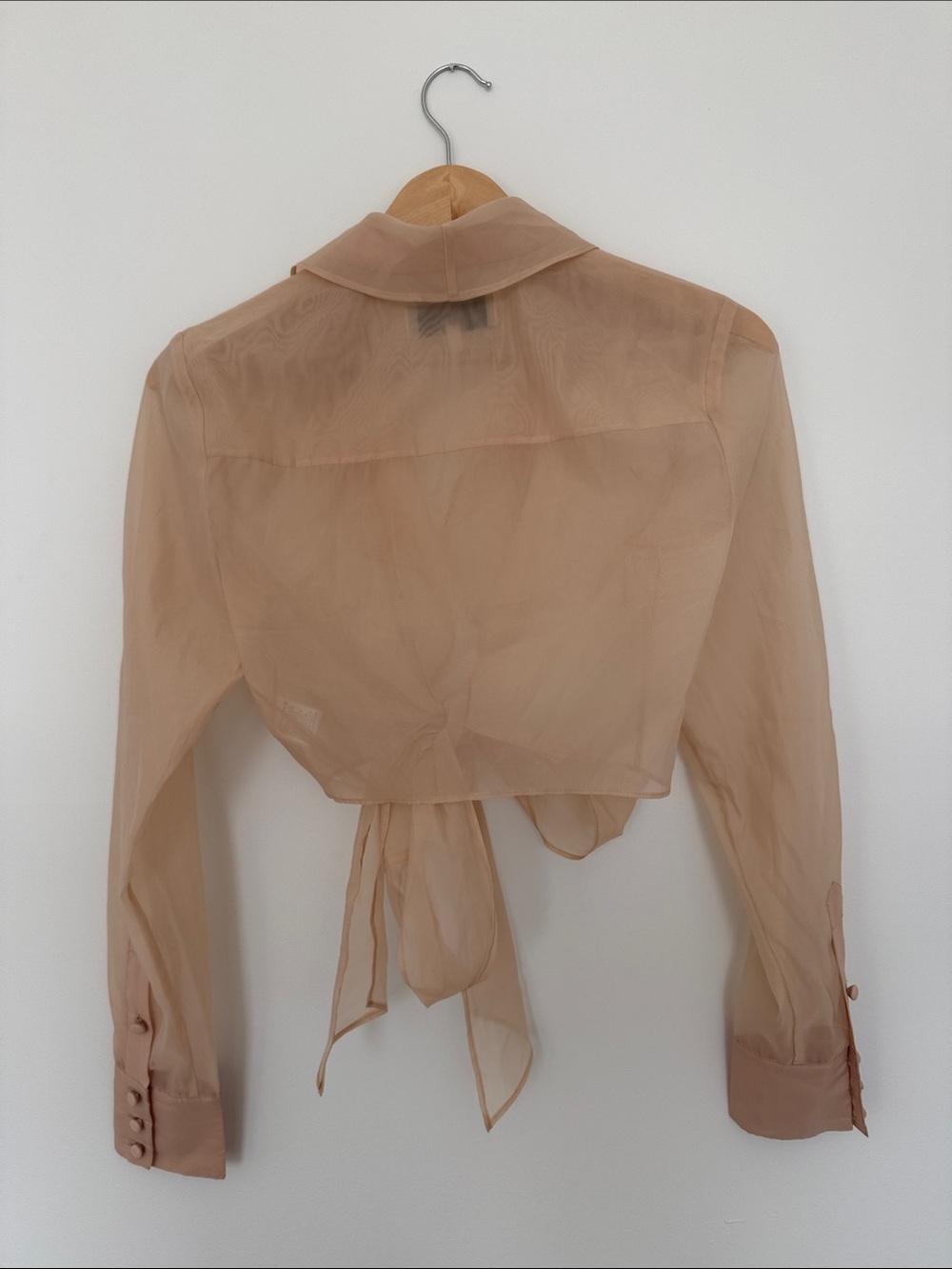 L'Academie Sheer Tie-Front Blouse in Nude Peach XS NWOT REVOLVE - Picture 3 of 4